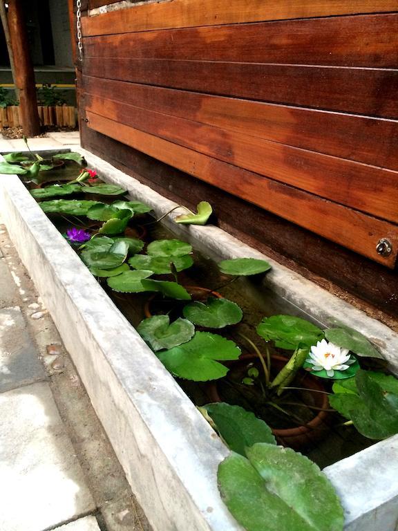 Green House Backpacker Hostel เชียงใหม่ ภายนอก รูปภาพ